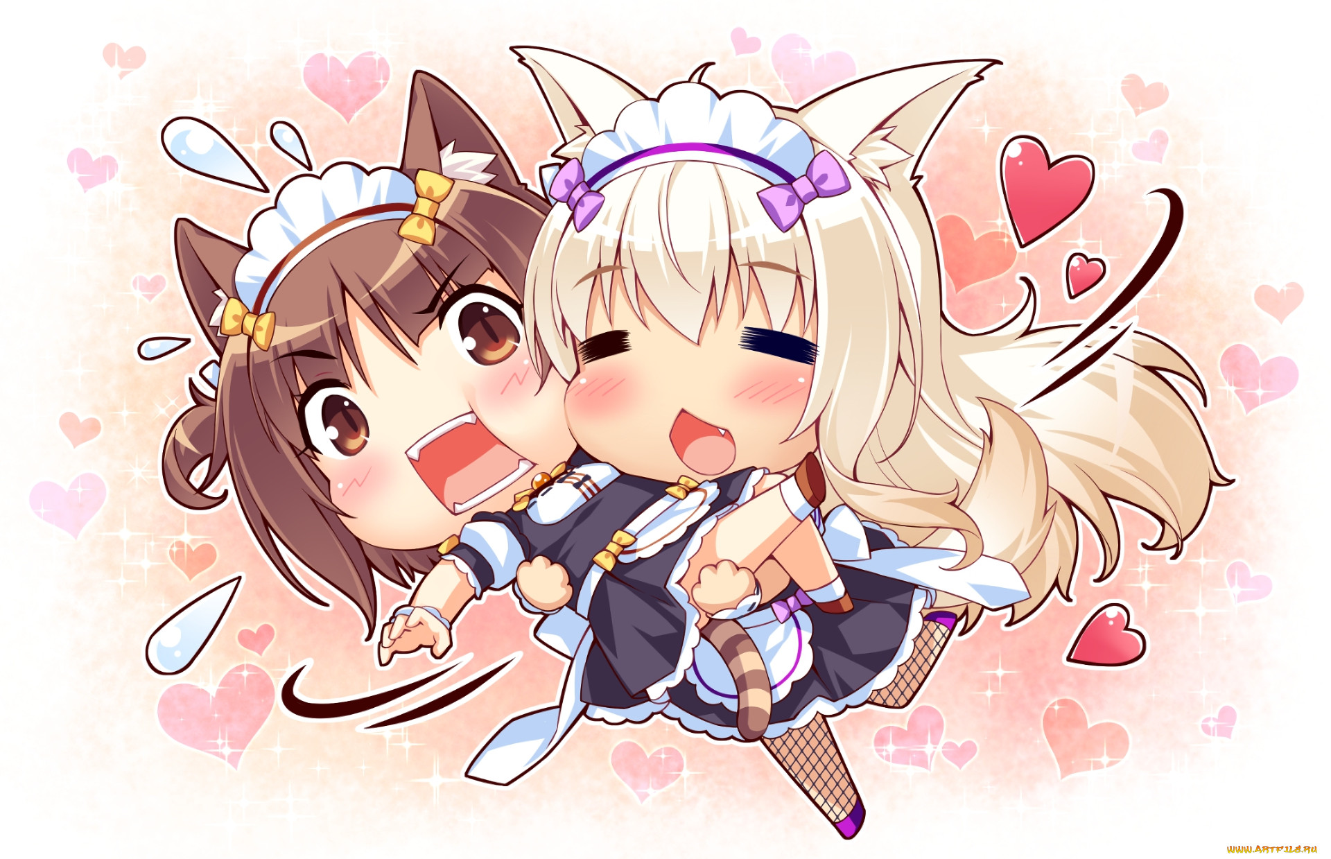 , nekopara, 